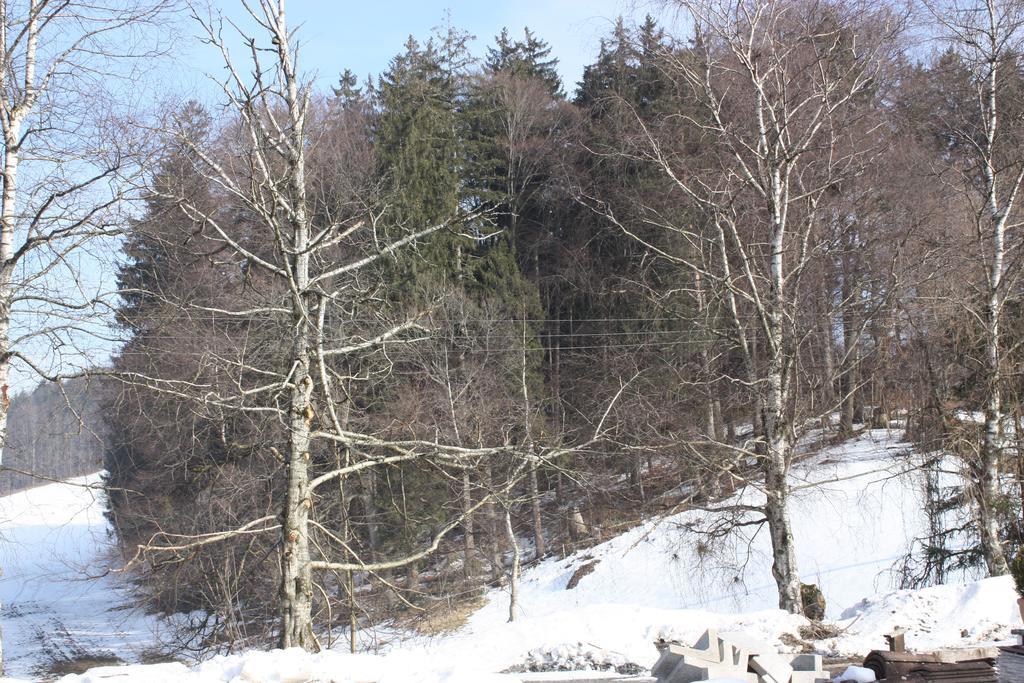 Ferienwohnungen Neukirchen Neukirchen am Teisenberg Exteriör bild