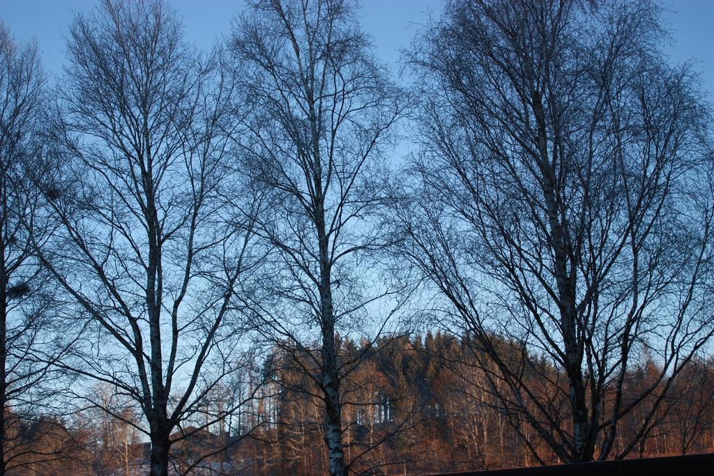 Ferienwohnungen Neukirchen Neukirchen am Teisenberg Exteriör bild