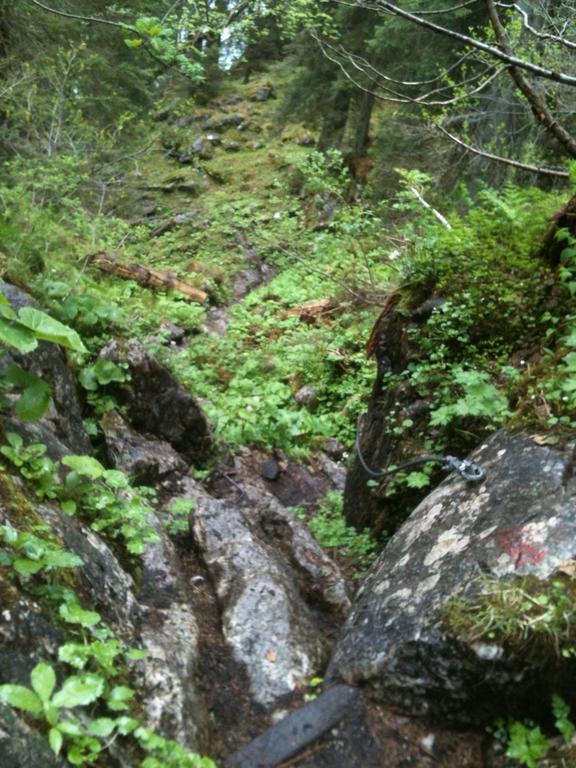 Ferienwohnungen Neukirchen Neukirchen am Teisenberg Exteriör bild