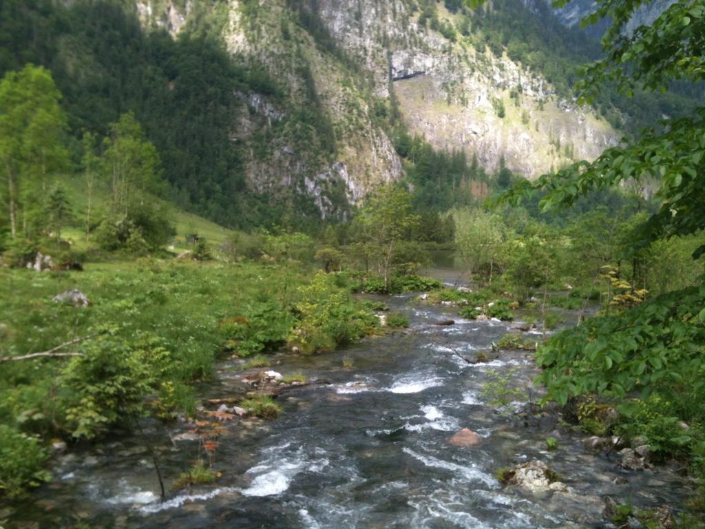 Ferienwohnungen Neukirchen Neukirchen am Teisenberg Exteriör bild